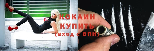 ПСИЛОЦИБИНОВЫЕ ГРИБЫ Кулебаки