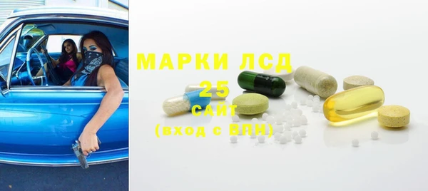 ПСИЛОЦИБИНОВЫЕ ГРИБЫ Кулебаки