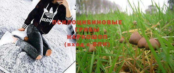 хмурый Куйбышев