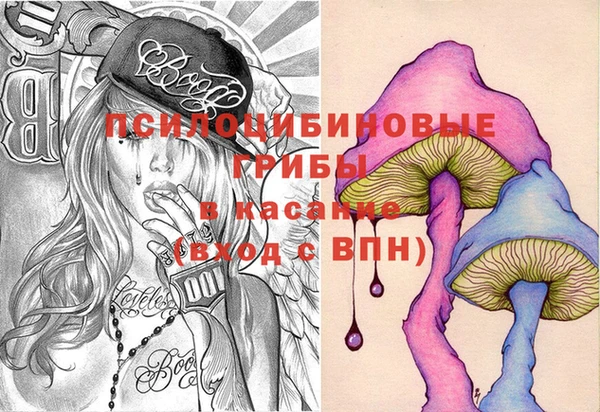 2c-b Ладушкин