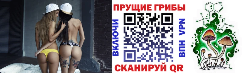Галлюциногенные грибы мицелий  где можно купить   Лысково 